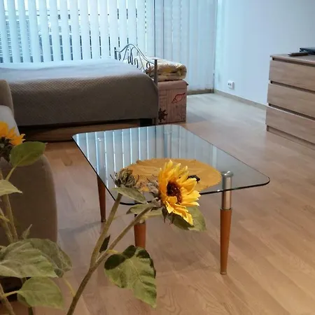شقة City Terrace تالين